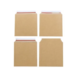 Cardboard Envelope