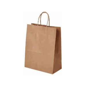 Paper Handle Bags